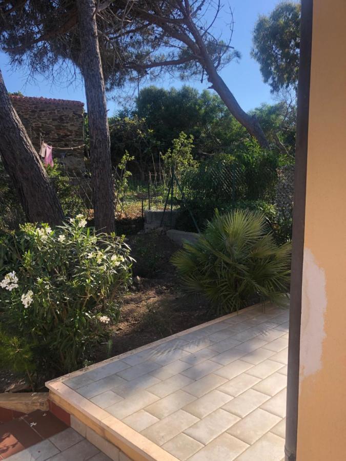 Vila Civico34 House 3 - I Giardini Dell'Ancora Stintino Exteriér fotografie